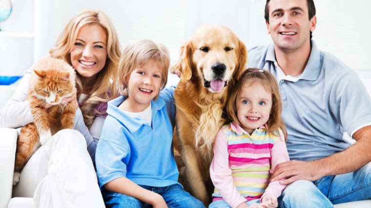 Biofeedback Health & Wellness Assessment